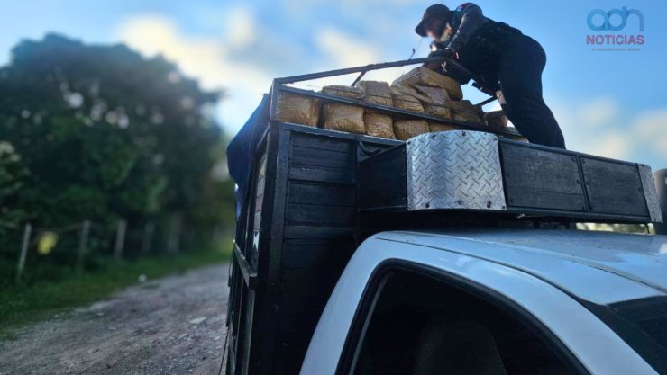 marihuana en Tabasco