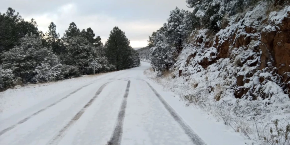 nieve