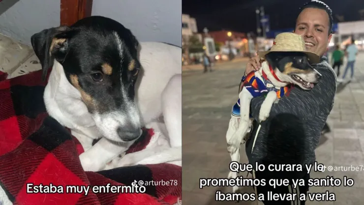 VIDEO: Perrito cumple promesa y visita a la Virgen de Guadalupe por salvarlo de una bacteria