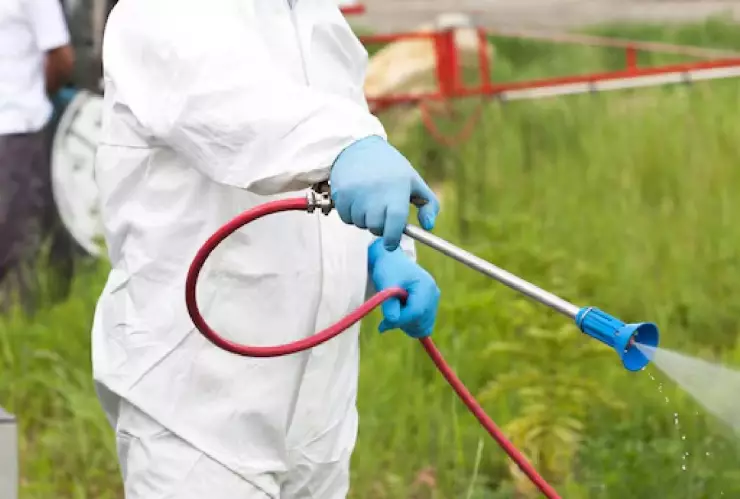 Efemérides 6 de junio_ Qué se conmemora un día como hoy.jpg