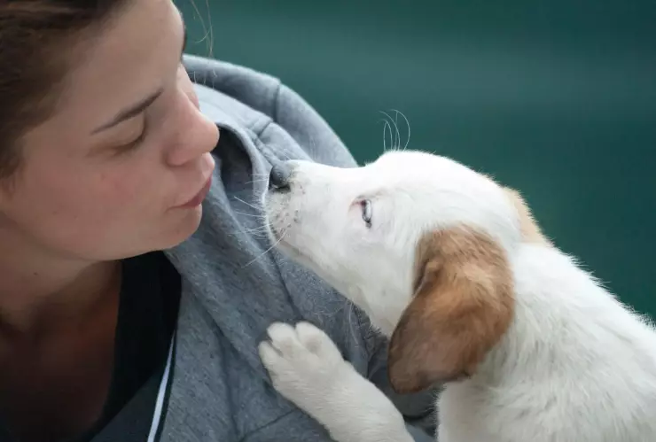 La razón por la que muchas personas hablan con sus mascotas, según la psicología.jpg