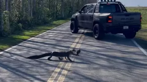 una vista de la sorprendente secuencia en la ruta de Florida