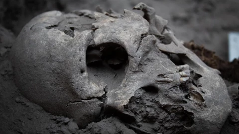 Hallazgo arqueológico, osamenta janambre.jpg