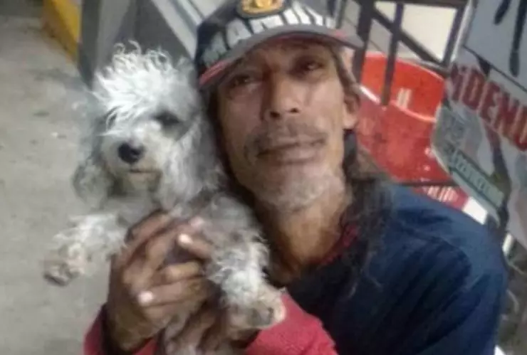 perrita perdida veracruz.