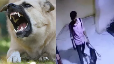 VIDEO VIRAL: Cámaras captan a una mujer siendo mordida por un perro y agredida por la dueña del animal en la India 