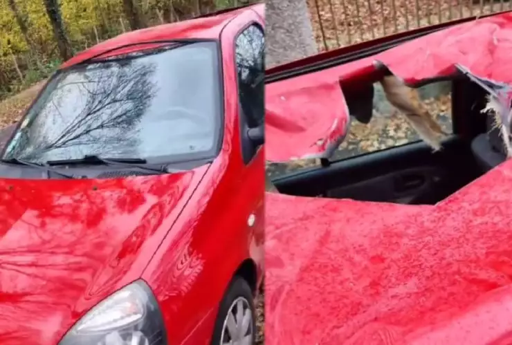 VIDEO: ¿Lluvia de meteoros? Presunto meteorito se impactó contra un carro