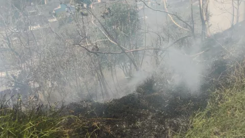 Incendio de pastizal en El Castillo Xalapa