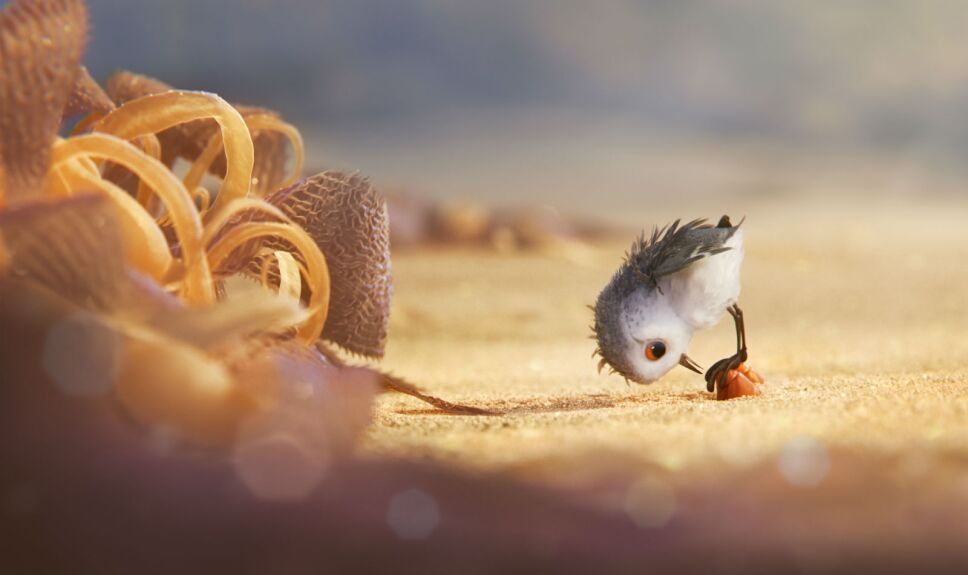 Piper, cortometraje de Disney