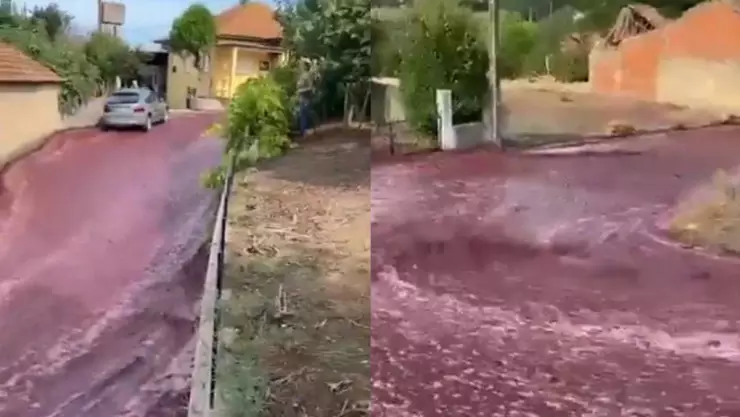 VIDEO_ Río de vino inunda pueblo de Portugal y causa sensación
