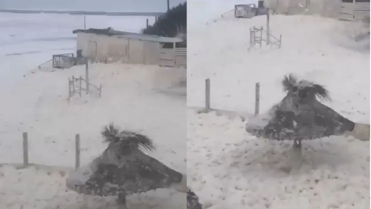 Presencia de espuma marina en costas de Argentina
