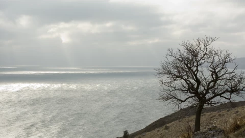 Playa en Ensenada donde se perdieron los militares