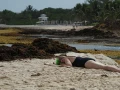 Alerta máxima en la Costa Maya de Quintana Roo: Playas de Mahahual y Xcalak invadidas de Sargazo; más de 3 mil toneladas afectan al turismo y la vida marina.