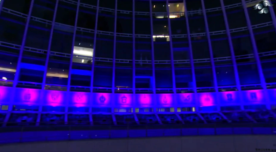 senado morado mujer X.png