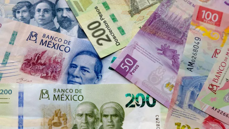dinero en efectivo de diferentes denominaciones