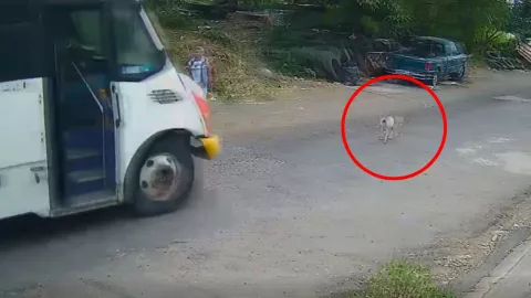 Usuarios denunciaron que esta situación se repite con frecuencia en la zona