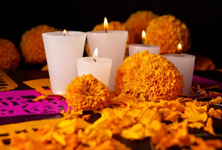 La flor de cempasúchil es un ícono mexicano distintivo en las ofrendas del Día de Muertos