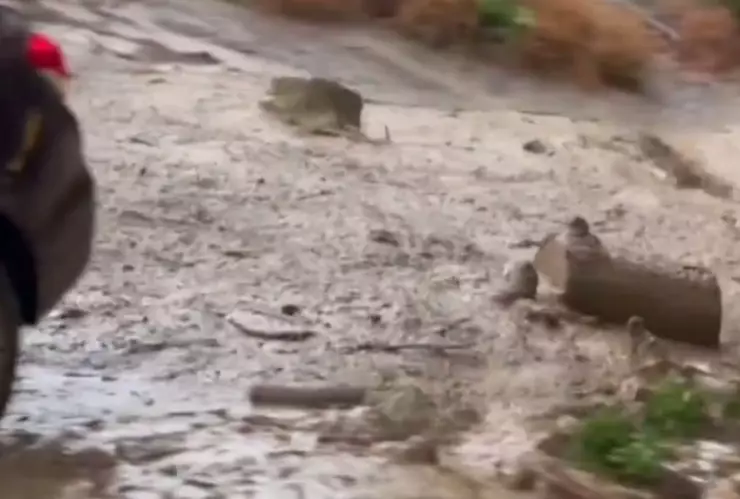 Avalanchas de lodo en California