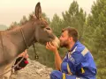 HAYTAP recoge a animales heridos por los incendios en Turquía