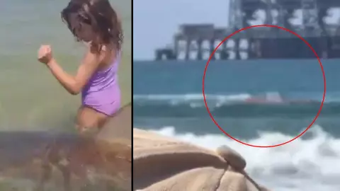 VIDEO: Captan momento exacto de ataque de tiburón a un joven frente de bañistas en Israel