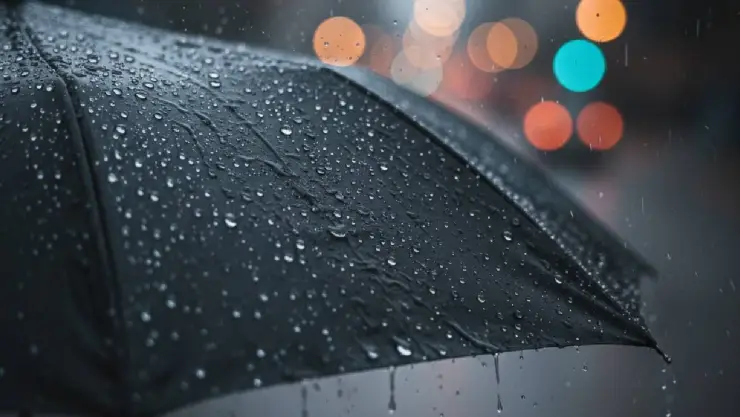 ¡Anótalo! Esta es la hora exacta de las lluvias en el estado de Veracruz hoy 14 de agosto de 2026