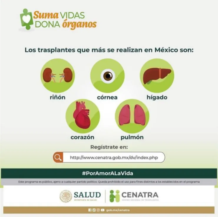 Donante de órganos ¿Te interesa Estos son los requisitos para ser donador