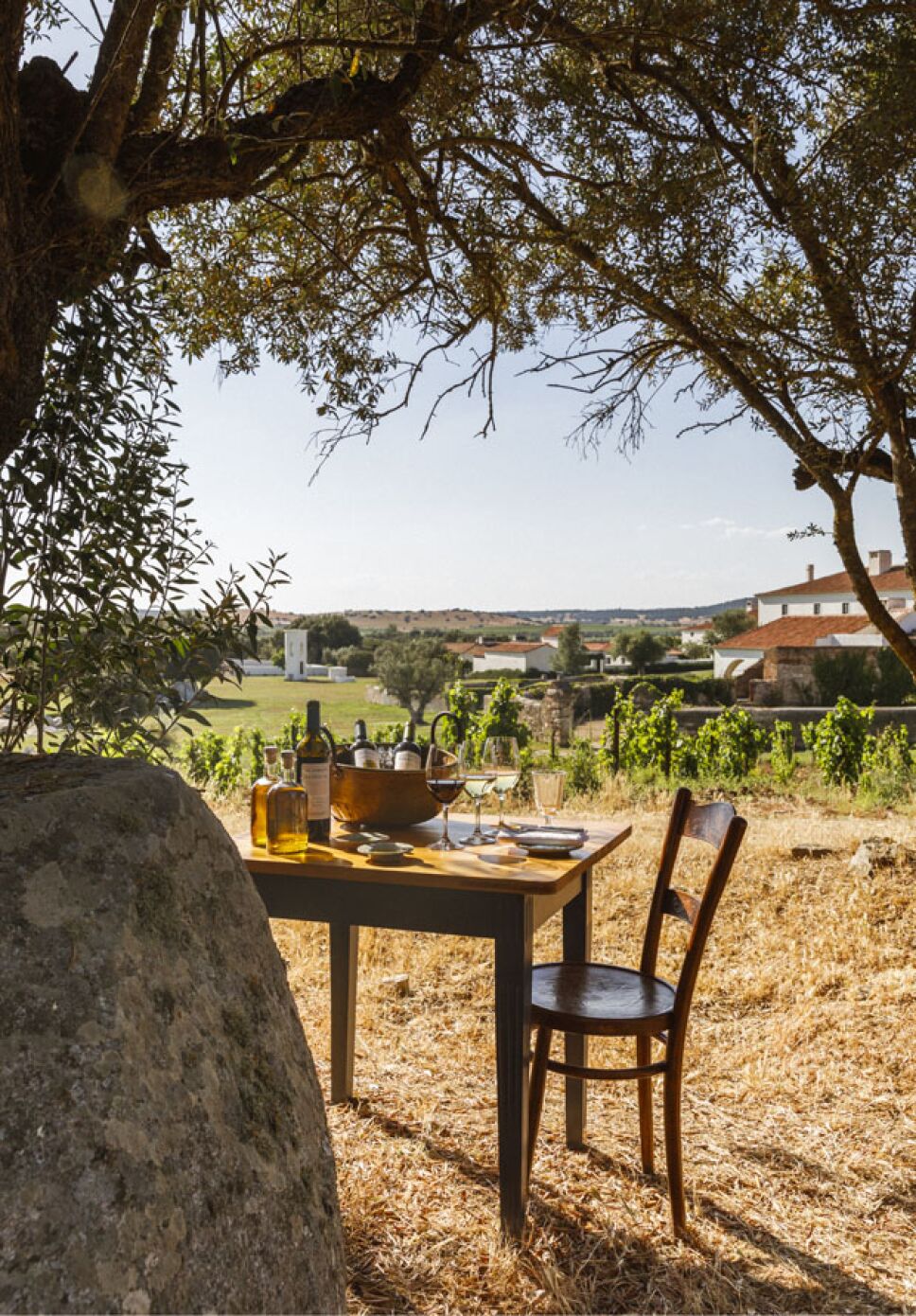 barrocal-wine-tasting.jpg
