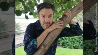 Fernando del Solar árbol.jpg