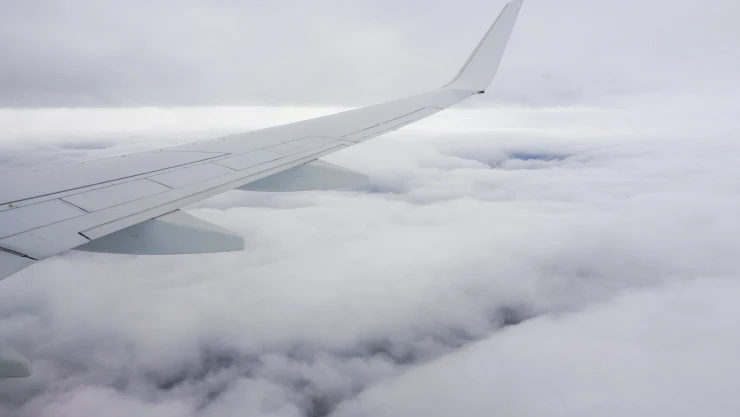 Vuelos Aeropuerto de Tijuana afectados por neblina hoy domingo 29 de diciembre de 2024 ¿Fueron cancelados?