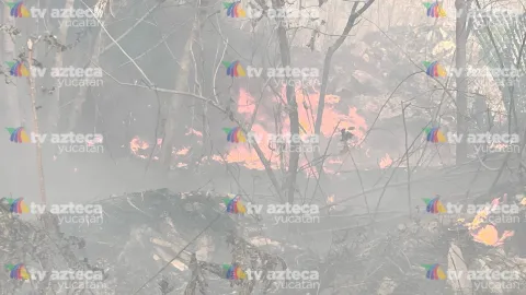 incendo periferico dzitya