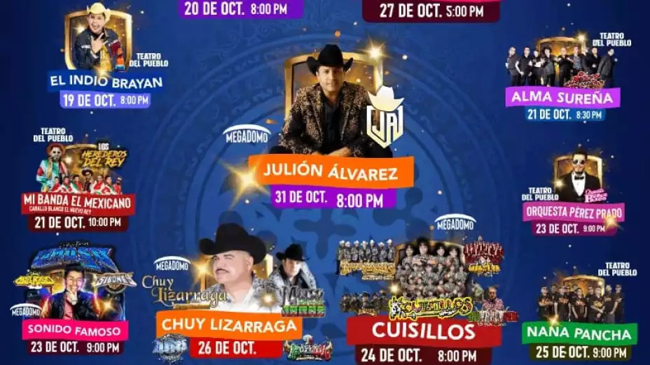 Mega Domo Feria de la Cecina 2024