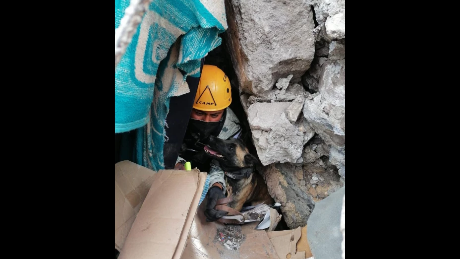 USAR-MARINA , rescate de animales.