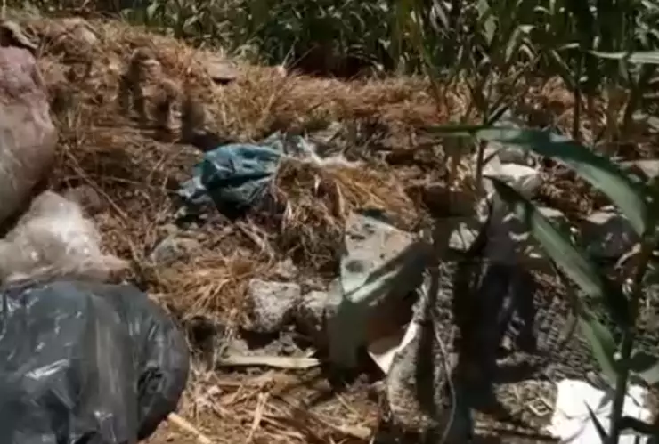 Todo tipo de desechos contaminan el río Atoyac en Oaxaca.png