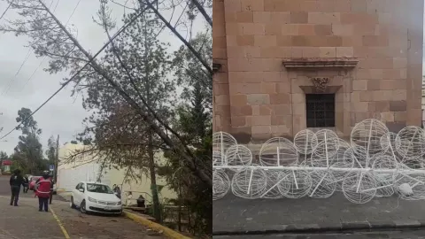Clima en Zacatecas Fuertes rachas de viento derriban un árbol y adornos navideños
