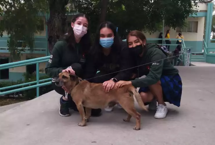 Chilaquil es el nuevo perro de alumnos de la Lázaro