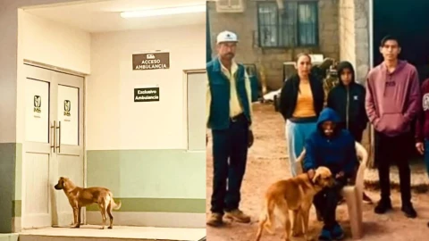 ‘El Palomo’, perrito que salvó la vida de dueño tras días extraviado