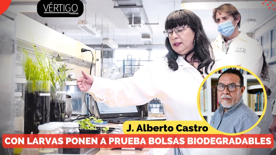 BOLSAS BIODEGRADABLES