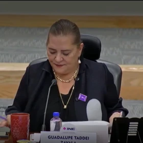 ine-renuncian-15-colaboradores-guadalupe-taddei-y-comparecera-el-titular-del-organo-interno-control
