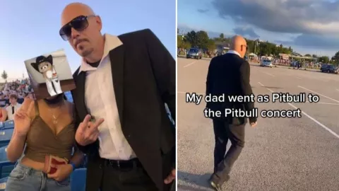 hombre se disfraza de pitbull y asiste a concierto provocando que fans creyera que era el real.jpg