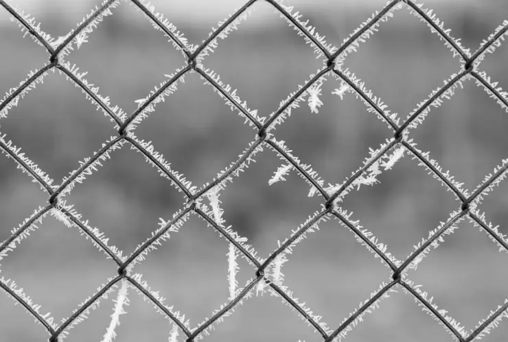 ¿Bajas temperaturas? Este es el pronóstico del clima de hoy viernes 22 de noviembre de 2024