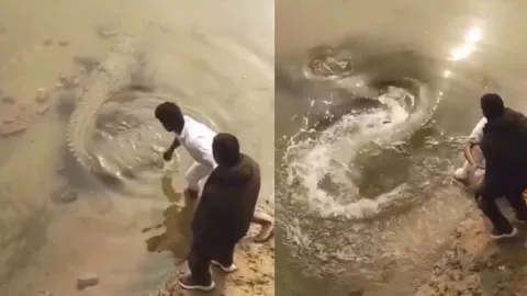 VIDEO | ¡Por eso viven menos! Hombre molesta por una espalda a un cocodrilo y es atacado en la India