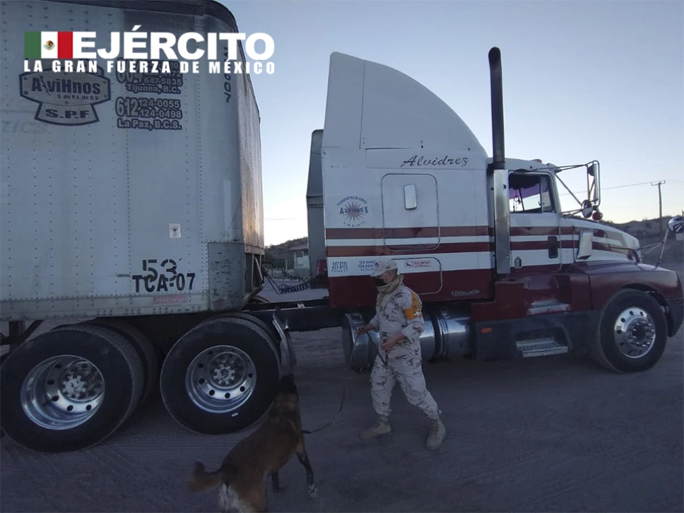 La Sedena informó que elementos del Ejército Mexicano lograron asegurar más 849 kilogramos de metanfetamina en municipio de Loreto en Baja California Sur.
