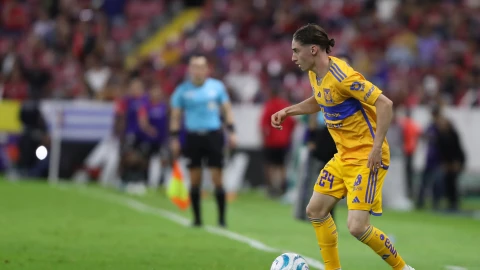 Marcelo Flores, Tigres