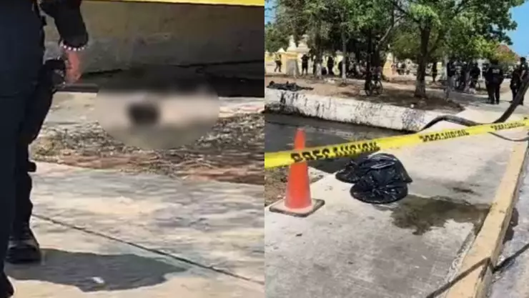 ¡Macabro hallazgo! Encuentran restos humanos en pleno parque de La Alameda; esto se sabe