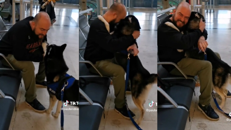 reencuentro perrito y dueño