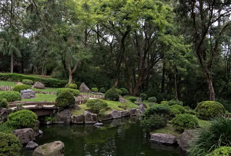 jardín secreto bosque Guadalajara