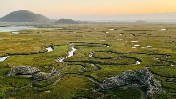 Humedales de San Quintín, maravillas Baja California.jpg