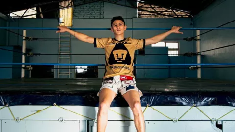 Rey David Picasso boxeo