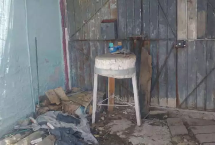 FOTOS Exhiben cabeza de perro en taquería de México