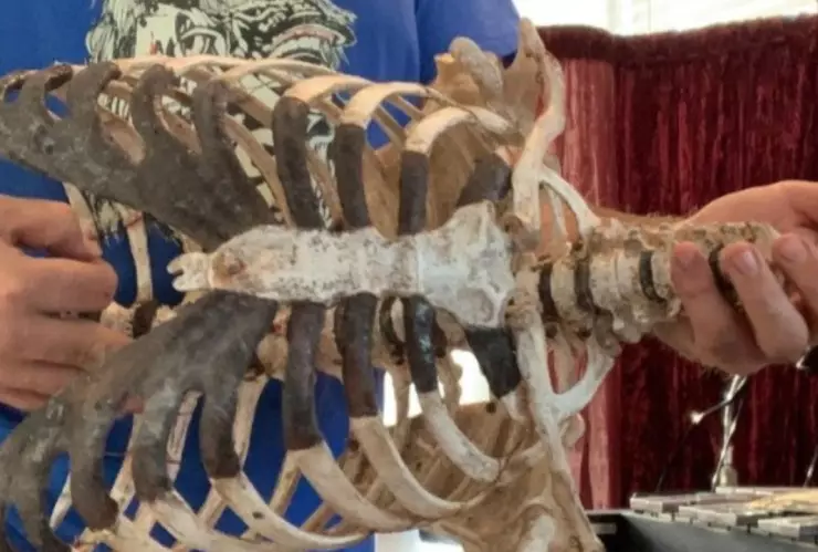 Guitarra eléctrica esqueleto