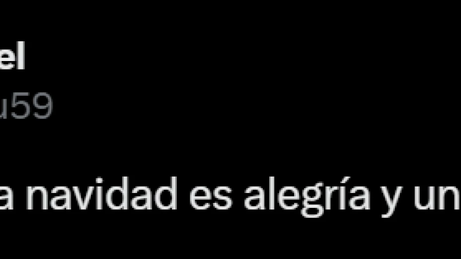 Captura de pantalla 2024-12-17 182411.png